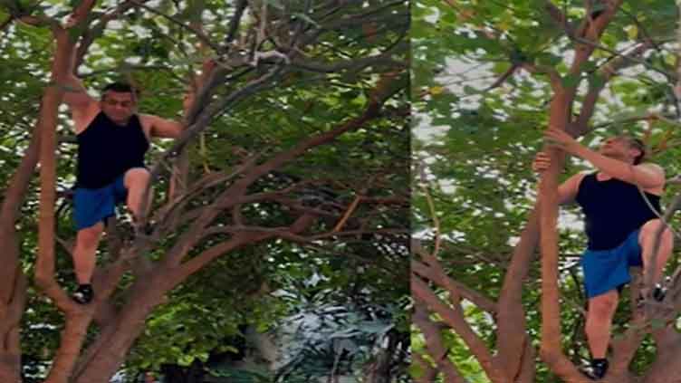 Fans praise Salman Khan's fitness as actor climbs tree to collect berries