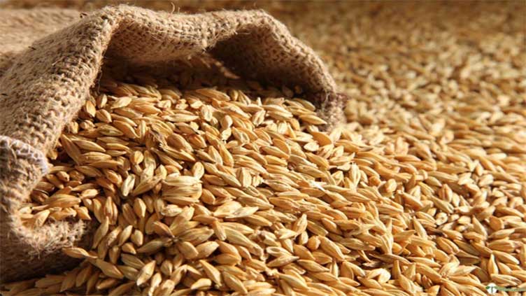 Punjab govt announces Rs15bn package to prevent financial loss to wheat growers