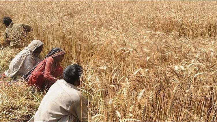 Growers reject Rs15bn relief package as insufficient