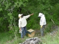 5 /15 - Jean-Philippe Piret avec les abeilles